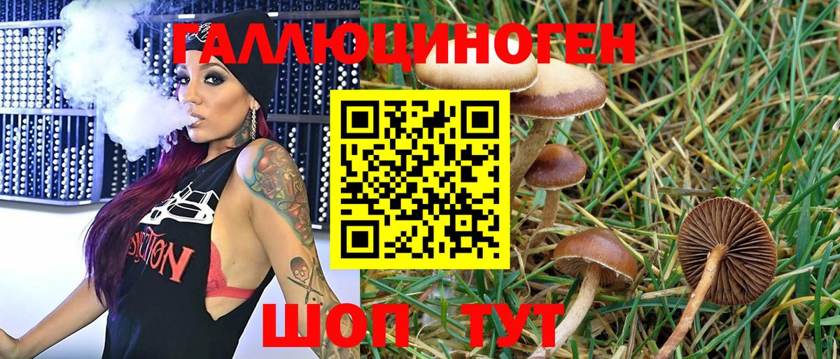 МДМА  Вход с VPN  Каннабис  МЕФ кристаллы  Торжок  ГАШИШ 