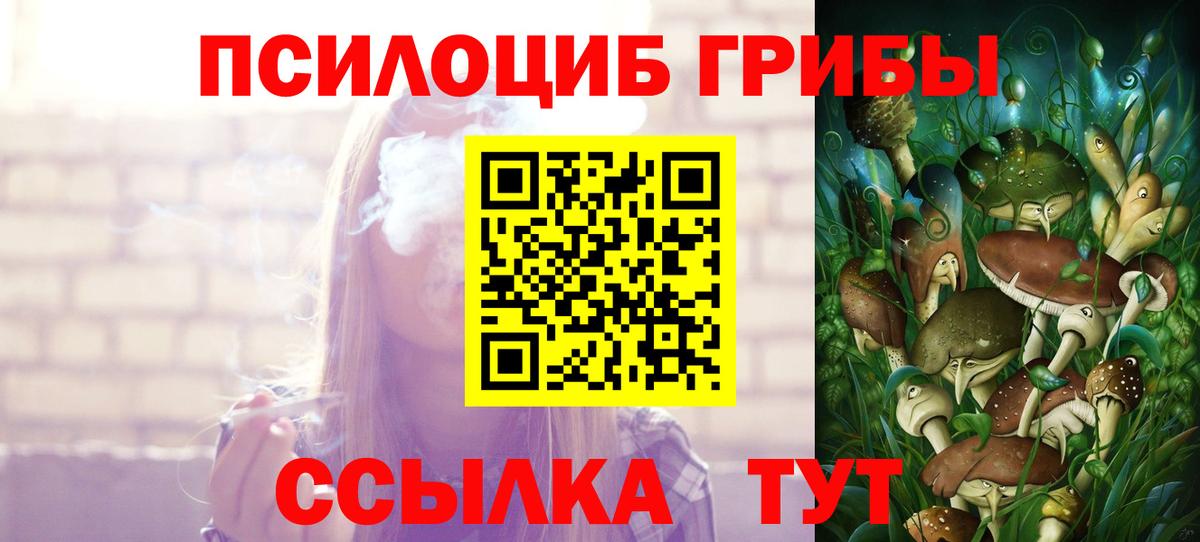 Псилоцибиновые грибы прущие грибы  Вход с VPN  Торжок 